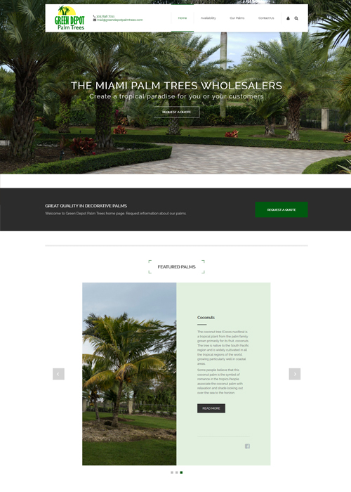 Miami Web Design